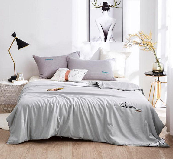 水韵蚕丝被  |TQ-B068